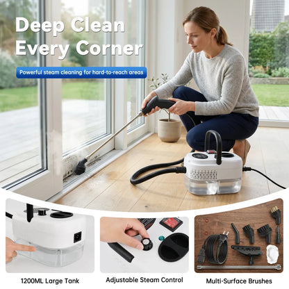 Portable High Temperature Steam Cleaner